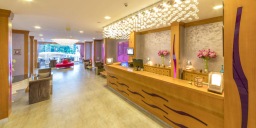 Hotel Ideal Pearl (adult only)