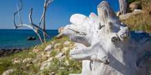Skiathos