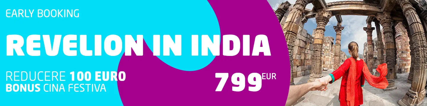 Revelion in India - Circuit transport avion
