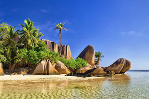 Revelion Senegal