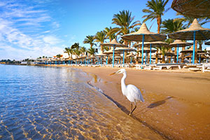 Sharm El Sheikh