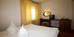 Hotel Oltenia