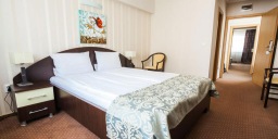 Hotel Domogled