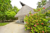 Hotel Fihalhohi Island Resort