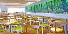 Hotel Flamboyan Caribe