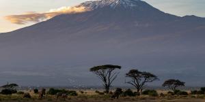 Kenya