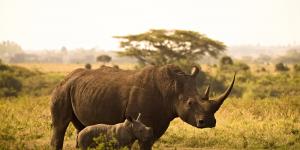 Kenya