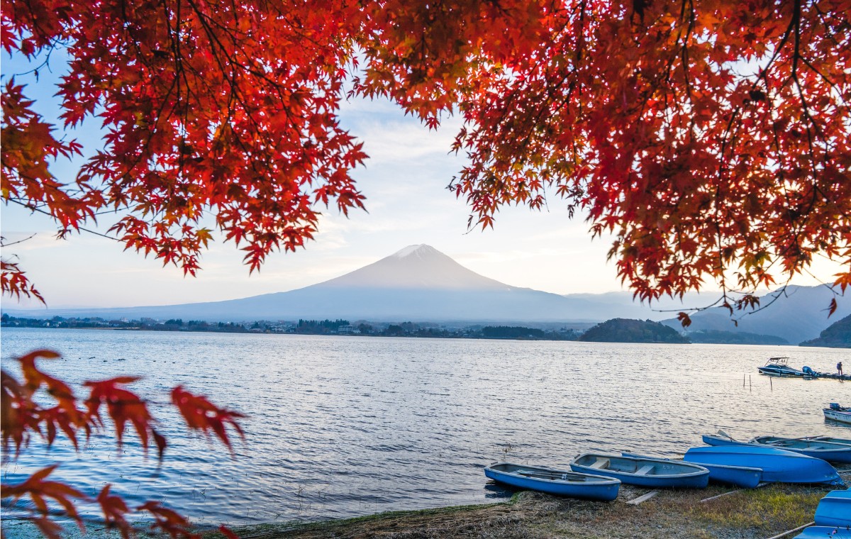 Momijigari - Arta japoneza a „vanatorii” de frunze rosii